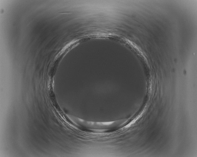X0000086091161200703231423