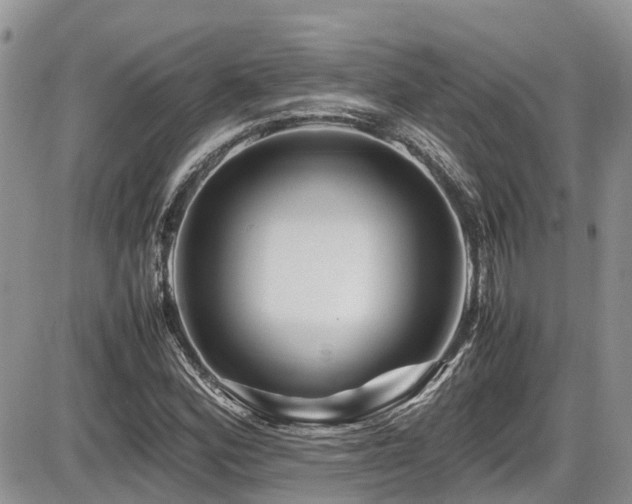 X0000086091164200703231423
