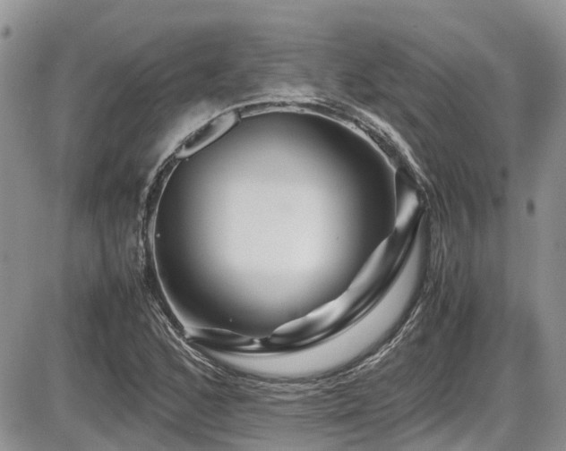 X0000086091168200703231423