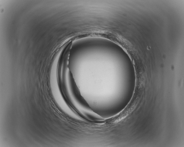X0000086091169200703231423