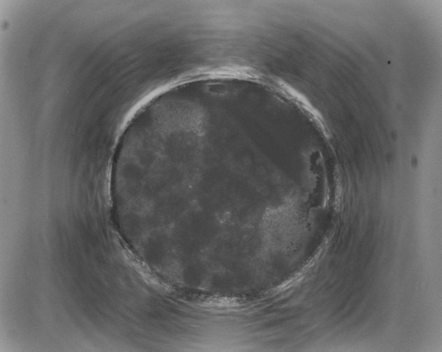 X0000086091174200703231423