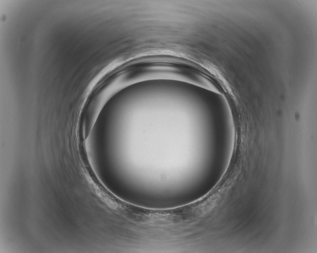 X0000086091181200703231422