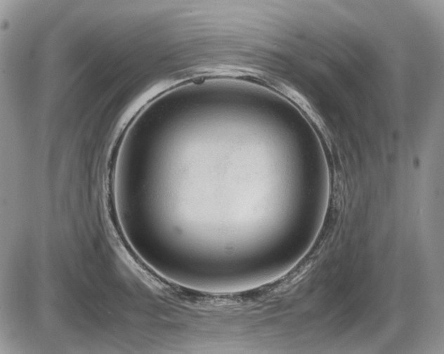 X0000086091187200703231422