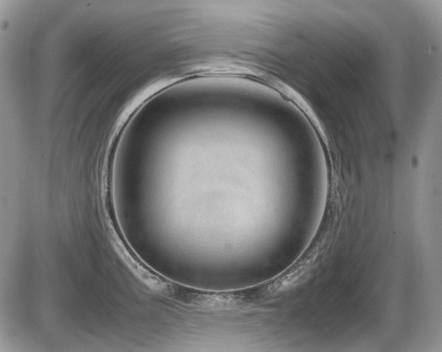 X0000086091195200703231422