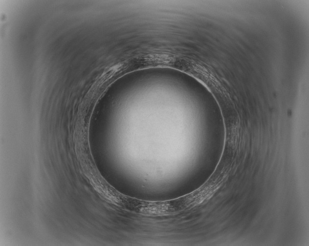 X0000086091201200703231421