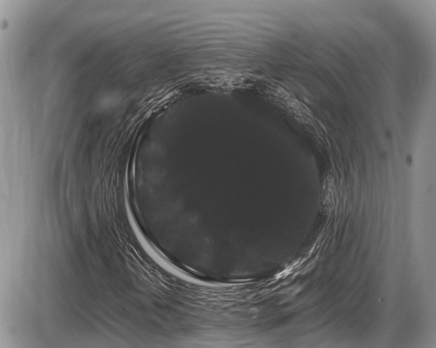 X0000086091202200703231421