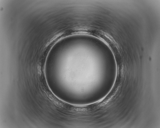 X0000086091209200703231421