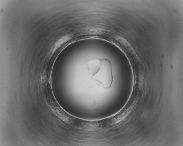 X0000086091210200703231421