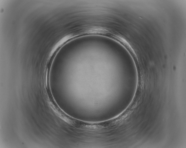X0000086091227200703231422