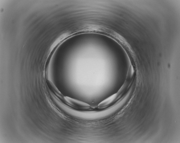 X0000086091234200703231422