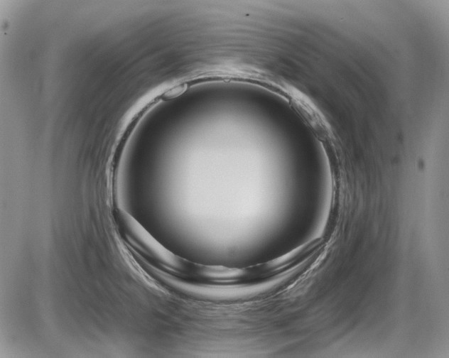X0000086091238200703231422