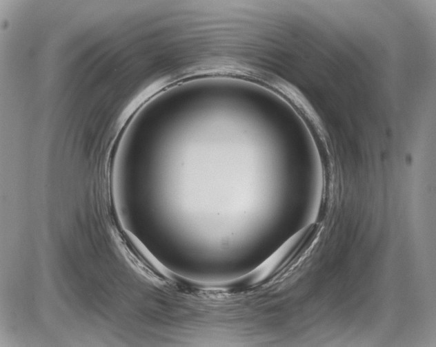 X0000086091242200703231422