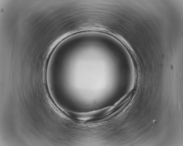 X0000086091246200703231422