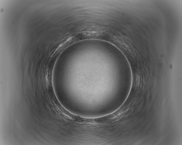 X0000086091250200703231421