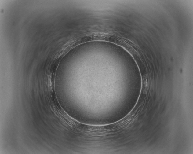 X0000086091252200703231421