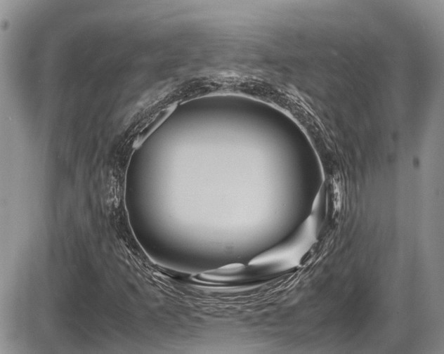 X0000086091253200703231421