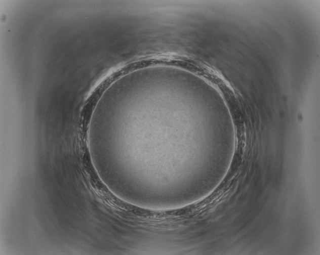 X0000086091256200703231421