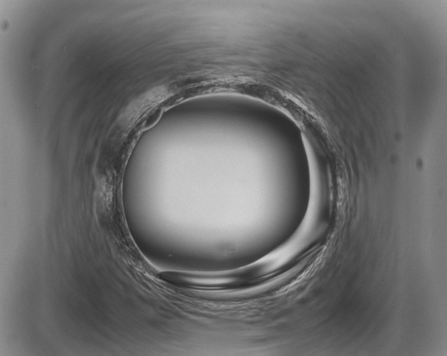 X0000086091257200703231421