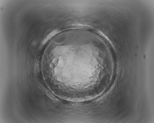 X0000086091259200703231421