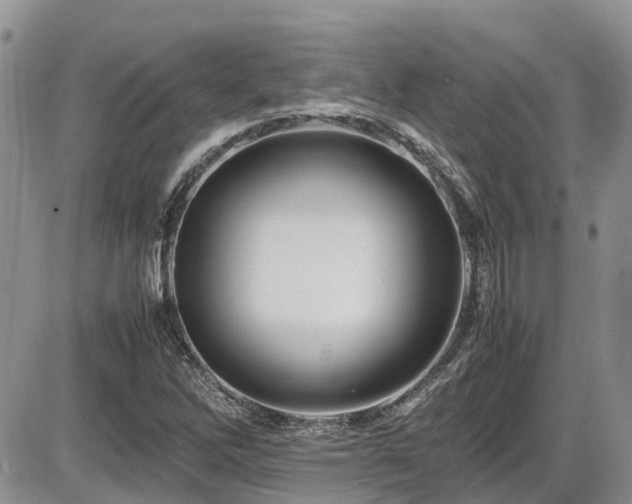 X0000086091262200703231421