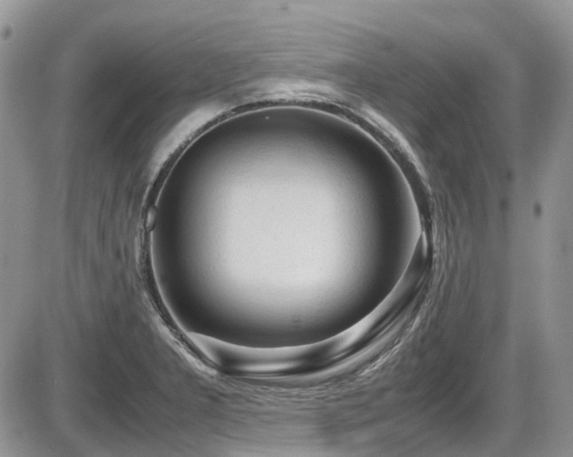 X0000086091277200703231421