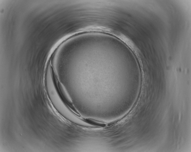 X0000086091296200703231420
