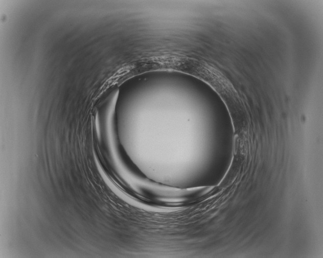 X0000086091298200703231420