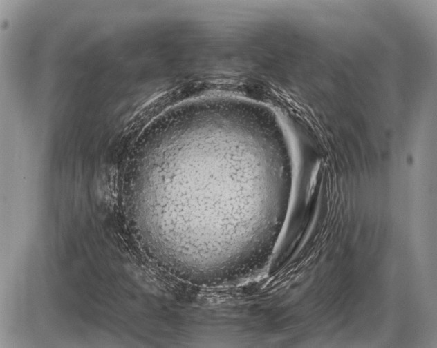 X0000086091301200703231420