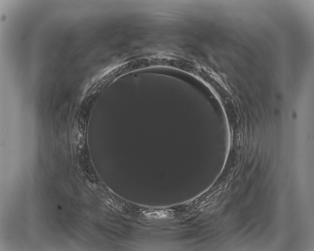 X0000086091303200703231420