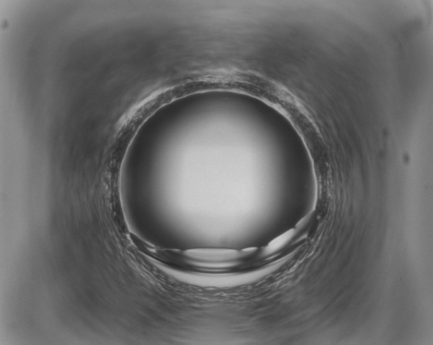 X0000086091304200703231420
