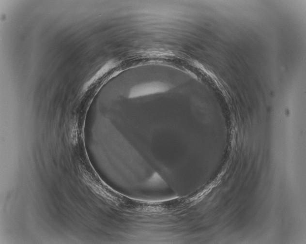 X0000086091306200703231420