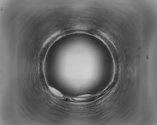 X0000086091307200703231420