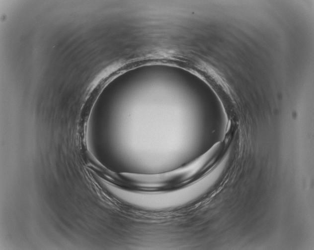 X0000086091308200703231420