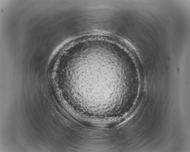 X0000086091310200703231420