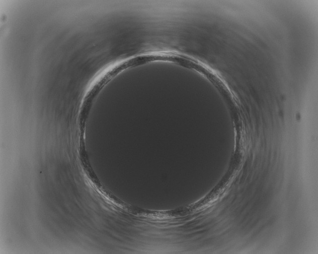 X0000086091319200703231420