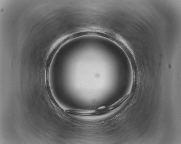 X0000086091320200703231420