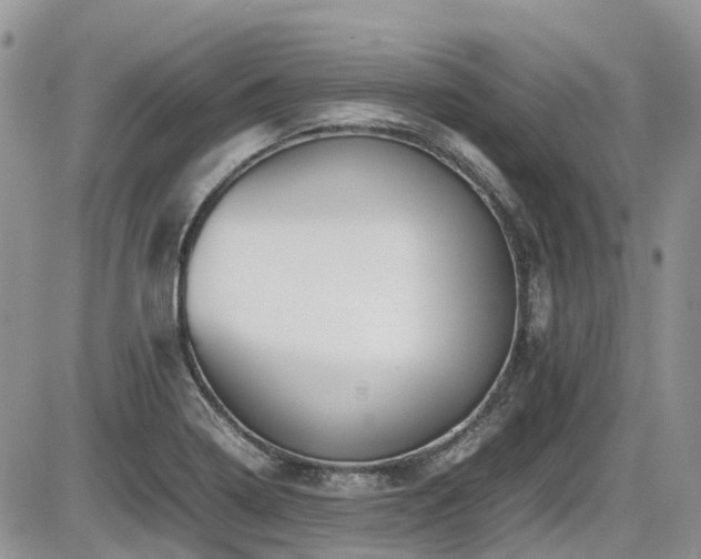 X0000086091322200703231420