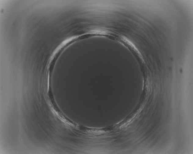 X0000086091323200703231420