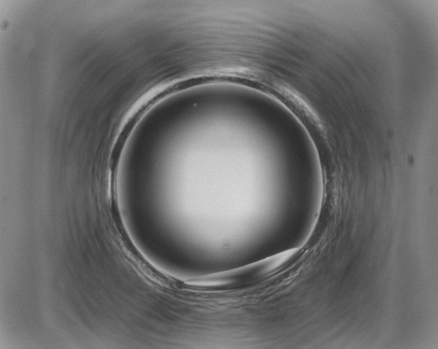 X0000086091324200703231420