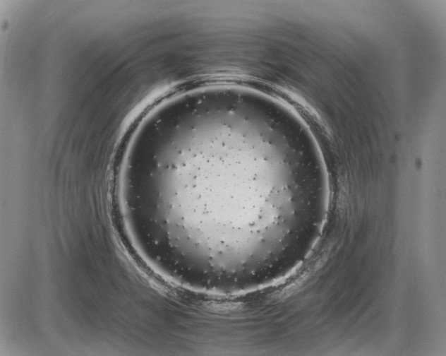 X0000086091325200703231420