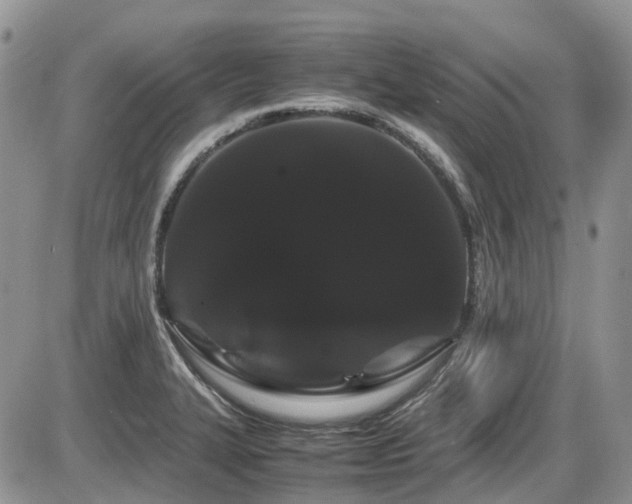 X0000086091327200703231420