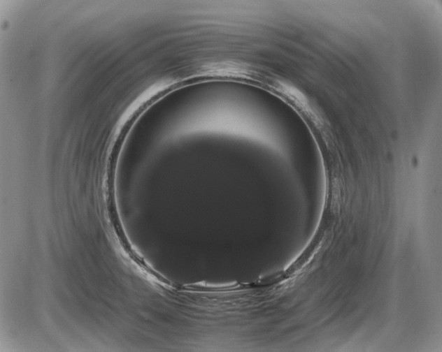 X0000086091331200703231420