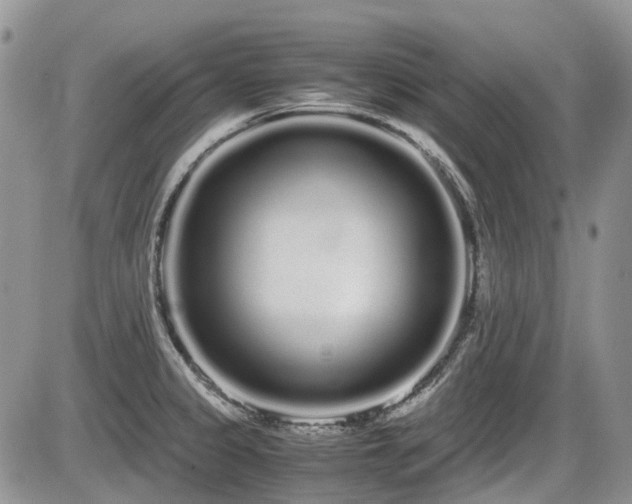X0000086091333200703231420
