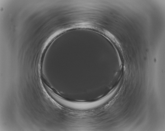 X0000086091334200703231420