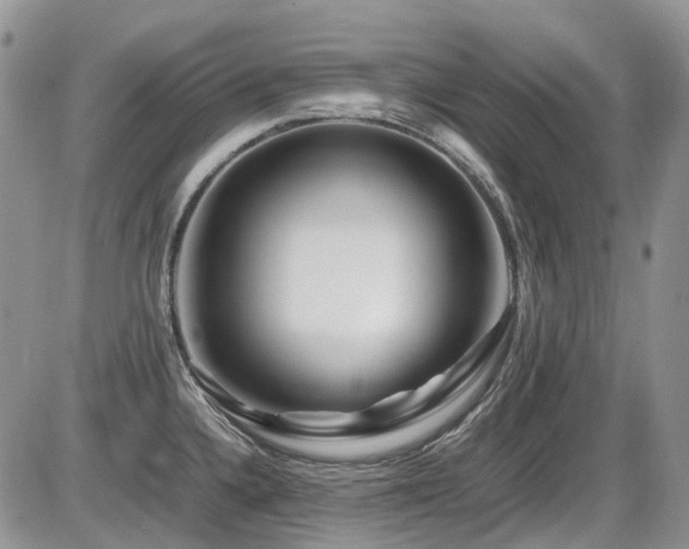 X0000086091336200703231420
