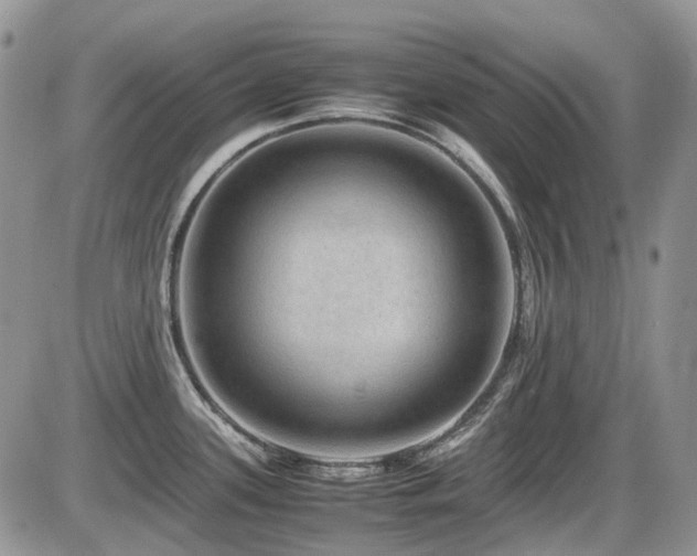 X0000086091339200703231420