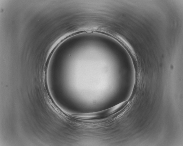 X0000086091340200703231420