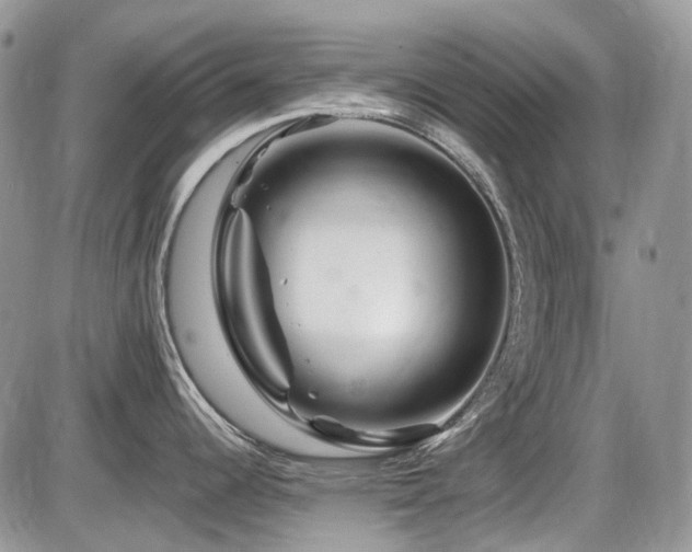 X0000086091344200703231420
