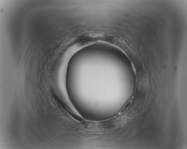 X0000086091345200703231420