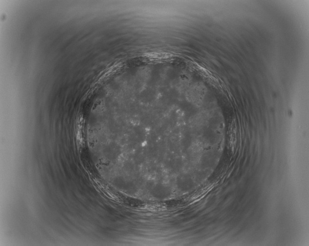 X0000086091346200703231420